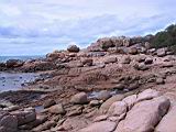 Murry Bay_5120.JPG